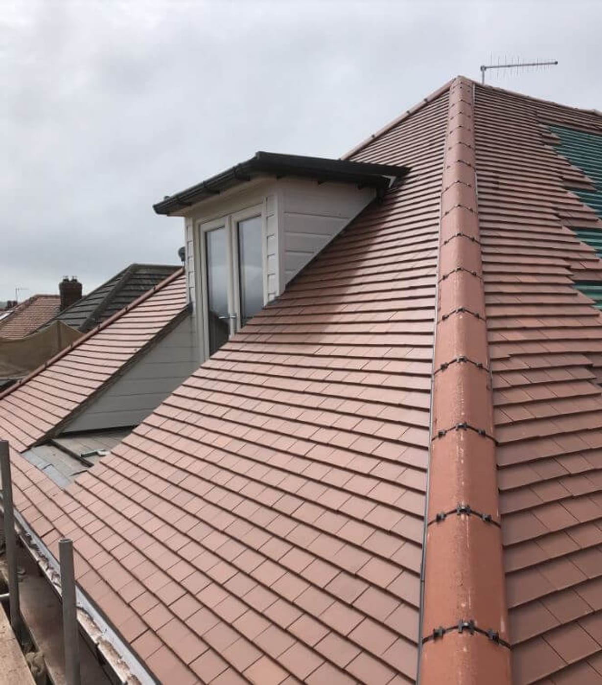 New Roofs by Regency Roofing
