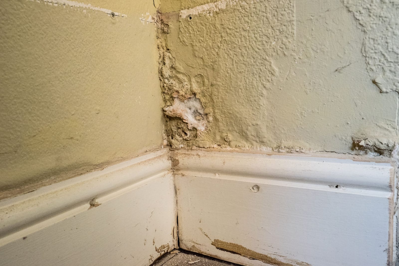 Regency Roofing damp proofing project 8