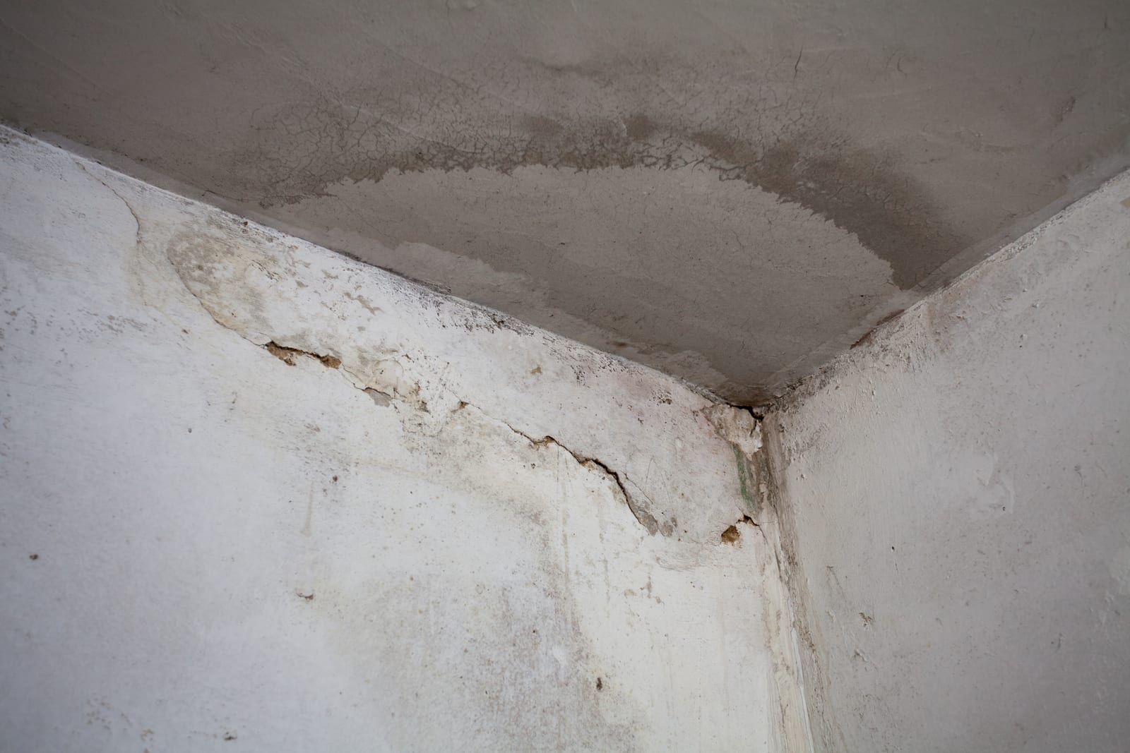 Regency Roofing damp proofing project 3