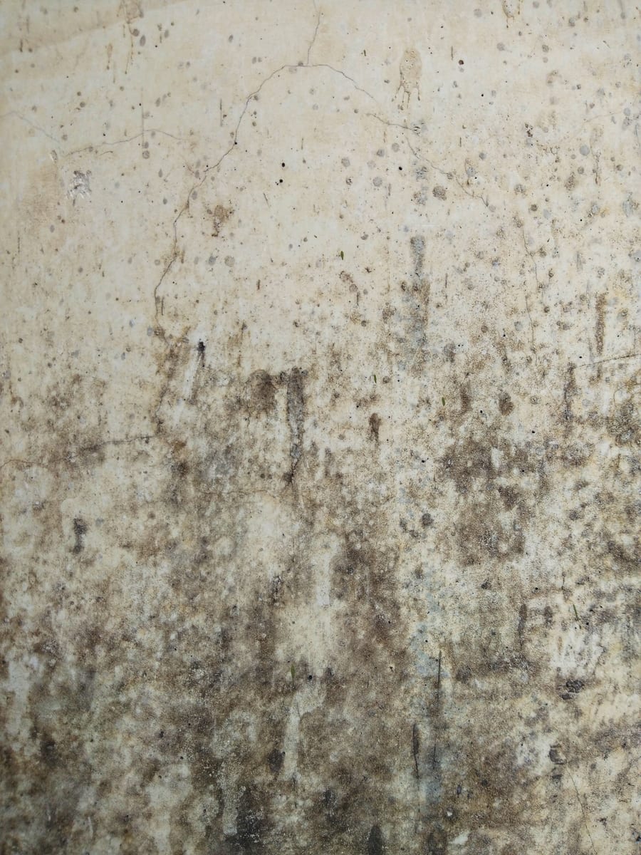 Regency Roofing damp proofing project 6