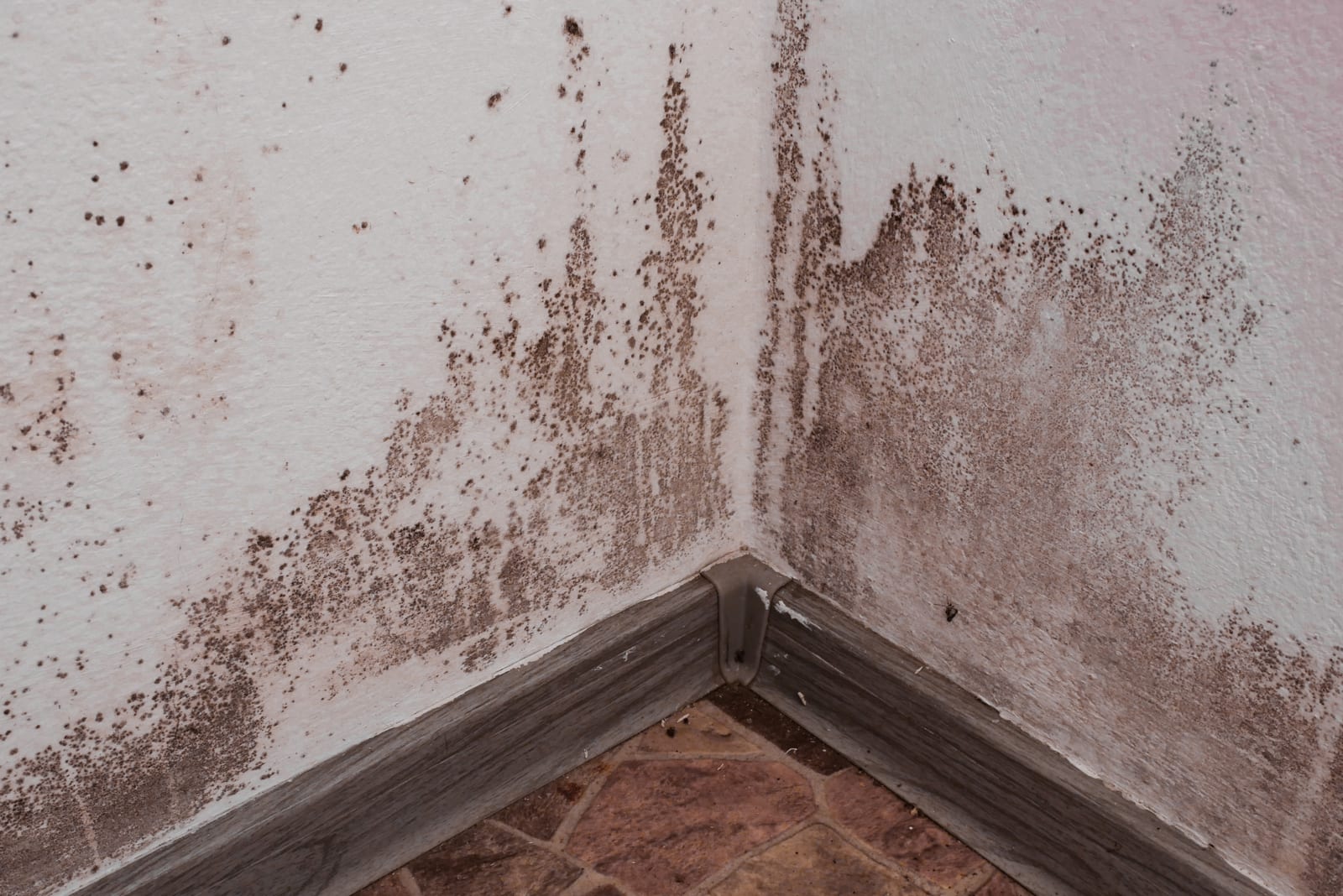 Regency Roofing damp proofing project 7