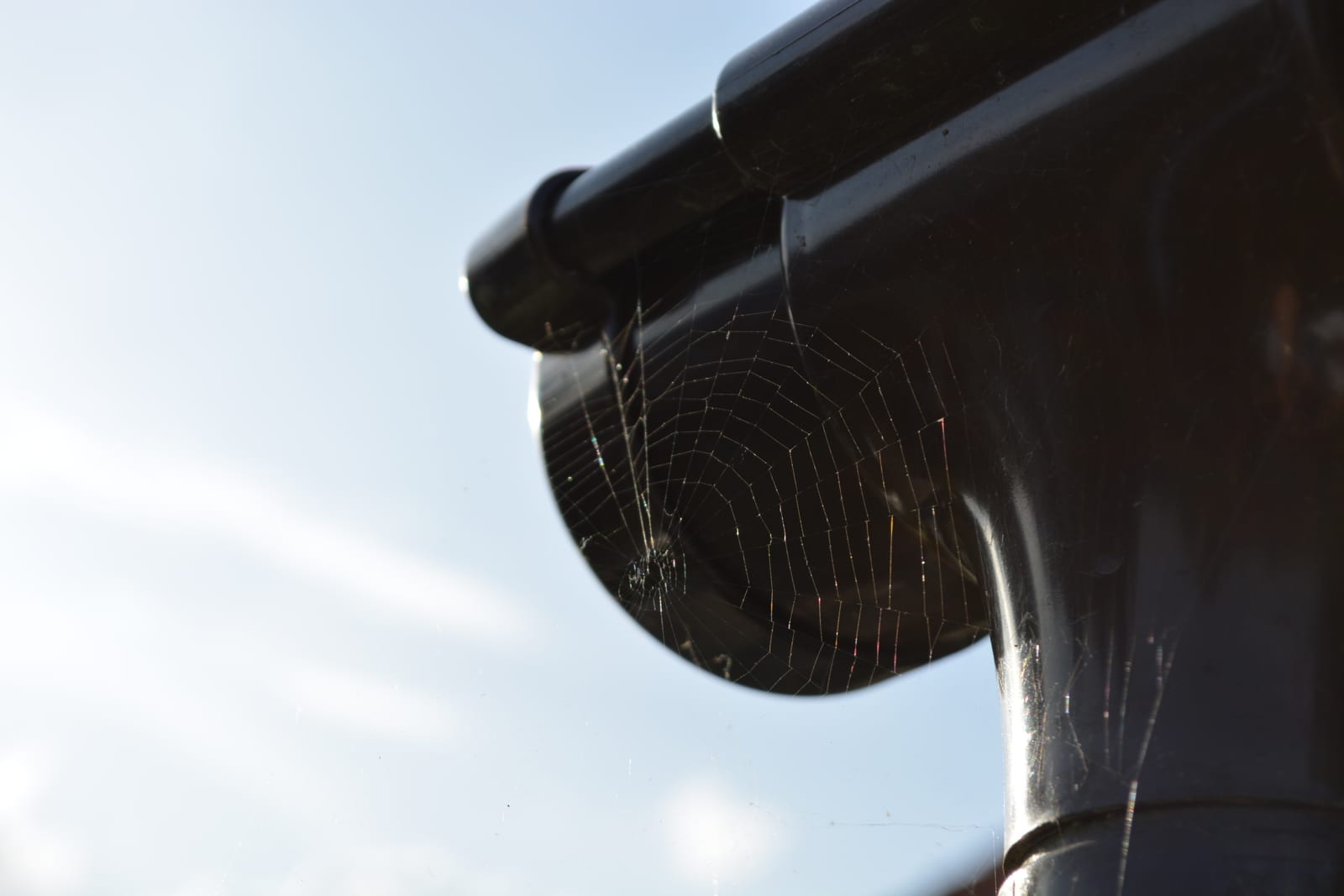 Regency Roofing guttering project 8