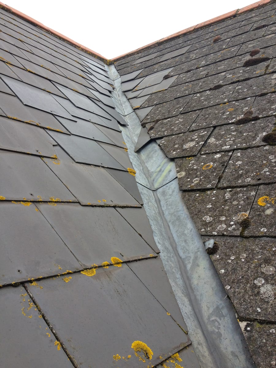Regency Roofing moss removal & roof cleaning project 5